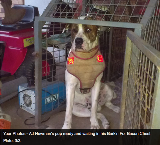 Screen Shot 2013-10-02 at 1.33.35 PM